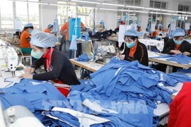 En 2024, le commerce extérieur du Vietnam a atteint plus de 786 milliards de dollars. La balance commerciale a enregistré un excédent de 24,77 milliards de dollars. Photo : VNA