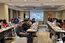 Panorama de la conférence. Photo: VNA