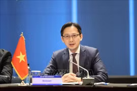 L’ambassadeur Do Hung Viet, chef de la Mission permanente du Vietnam auprès de l’ONU. Photo : VNA