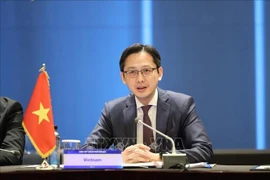 L’ambassadeur Do Hung Viet, chef de la Mission permanente du Vietnam auprès de l’ONU. Photo : VNA