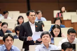 Les députés débattent de l'éducation préscolaire et des aides financières scolaires. Photo: VNA