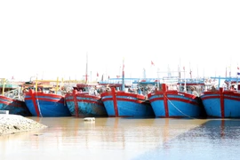 Ninh Binh compte actuellement 1.861 navires, dont 593 mesurant 15 mètres ou plus. Photo : VNA