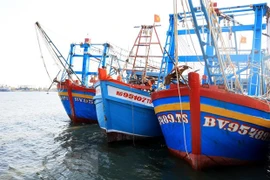 Des bateaux de pêche ancrés dans l'estuaire. Photo : VNA