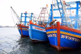 Des bateaux de pêche ancrés dans l'estuaire. Photo : VNA