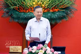 Le Comité de pilotage central sur la diplomatie et l'intégration internationale a tenu, le 30 juin à Hanoï, sa première réunion sous la présidence du secrétaire général du Parti communiste du Vietnam et président vietnamien, To Lam. Photo : VNA