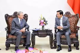 Le vice-Premier ministre Tran Hong Ha (droite) et Boris Yuryevich Titov, envoyé spécial du Président russe pour les relations avec les organisations internationales pour la réalisation des Objectifs de développement durable. Photo: VNA