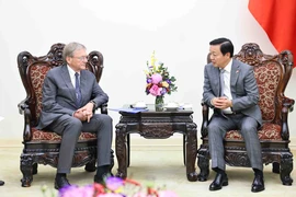 Le vice-Premier ministre Tran Hong Ha (droite) et Boris Yuryevich Titov, envoyé spécial du Président russe pour les relations avec les organisations internationales pour la réalisation des Objectifs de développement durable. Photo: VNA