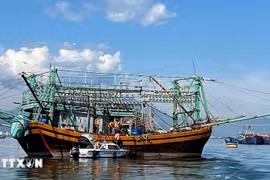 Les gardes-frontières de la ville de Dà Nang vérifient les documents de départ des bateaux de pêche. Photo: VNA