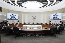 Le président Luong Cuong participe à la 32ᵉ Semaine des dirigeants économiques de l'APEC. Photo: VNA