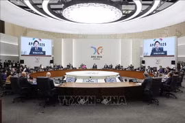 Le président Luong Cuong participe à la 32ᵉ Semaine des dirigeants économiques de l'APEC. Photo: VNA