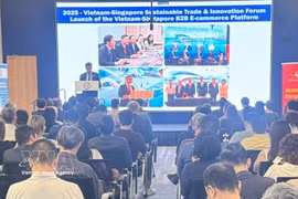 Panorama du programme. Photo : VNA