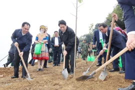 Le président Luong Cuong participe à la plantation d’arbres avec les délégués et la population locale dans le cadre du projet du parc culturel de Lao Cai, dans le quartier de Cam Duong. Photo : VNA