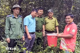 Trân Ngoc Khiêm remet un loris lent pygmée aux autorités pour le relâcher dans le milieu naturel. Photo: VNA
