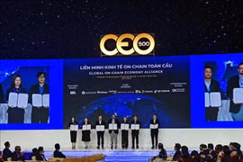 L'Académie des sciences de Russie honore d'éminents scientifiques vietnamiens. Photo: VNA
