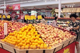 La BAD relève ses prévisions de croissance économique pour le Vietnam à 6,7 % cette année. Photo : VNA