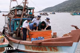 Campagne de sensibilisation à la lutte contre la pêche INN auprès des propriétaires de navires. Photo: VNA