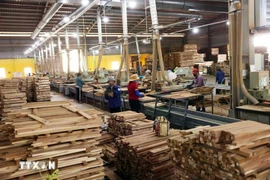 La production de meubles destinés à l'exportation chez la Sarl Duc Toan Binh Dinh implantée dans la zone économique de Nhon Hoi, ville de Quy Nhon. Photo : VNA