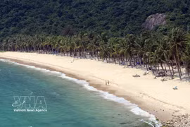La superbe plage de sable blanc de l'île de Cu Lao Cham (ville de Da Nang) attire les touristes. Photo : VNA