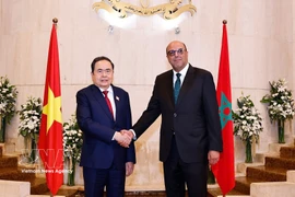 Le président de l'Assemblée nationale, Tran Thanh Man (gauche) a rencontré le président du Sénat marocain, Mohamed Ould Errachid, le matin du 25 juillet 2025. Photo : VNA