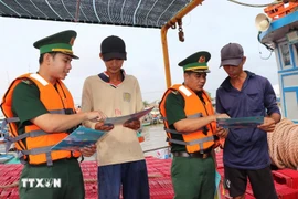 La province privilégie une communication directe via SMS et des groupes de travail dépêchés auprès des armateurs et capitaines pour rappeler les dispositions de la Loi sur la pêche. Photo : VNA