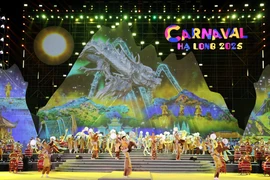 Le carnaval d'Ha Long 2025 a officiellement débuté dans la soirée du 1er mai sur la place Sun Carnaval de la ville d'Ha Long, province de Quang Ninh, au Nord. Photo : VNA