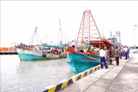 Deux bateaux de pêche au port de l'escadron 301. Photo : VNA