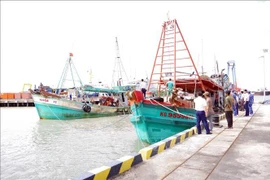 Deux bateaux de pêche au port de l'escadron 301. Photo : VNA
