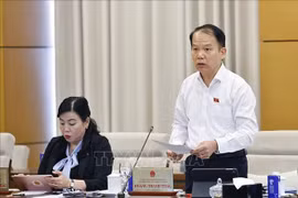 Le président de la Commission du droit et de la justice, Hoang Thanh Tung prend la parole lors de la séance. Photo : VNA