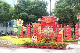 La rue des fleurs Nguyen Hue du Têt du Cheval sous le thème « Printemps de convergence - S’élancer avec détermination » a été officiellement inaugurée dans la soirée du 15 février 2026 (28e jour du 12e mois de l’Année du Serpent). Photo : VNA