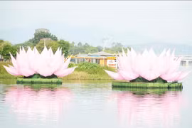 Deux des sept fleurs de lotus destinées aux célébrations du Vesak 2570 du calendrier bouddhique ont été mises à l’eau sur la rivière des Parfums, à Huê. Photo : VNA