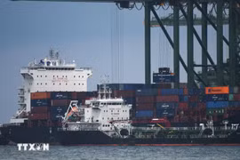 Port de fret de Pasir Panjang à Singapour. Photo: Xinhua/VNA