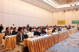 Panorama de la conférence. Photo: VNA