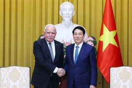 Le président Luong Cuong (droite) et le professeur Riad Malki, envoyé spécial du président palestinien, en visite de travail au Vietnam. Photo : VNA