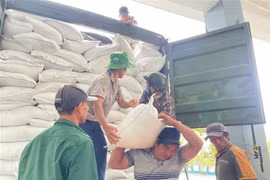 Du riz de secours est acheminé vers les localités fortement touchées par les inondations. Photo : VNA