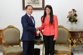 Le vice-Premier ministre et ministre des Affaires étrangères du Vietnam, Bui Thanh Son rencontre le 5 août Rania A. Al-Mashat, ministre égyptienne de la Planification, du Développement économique et de la Coopération internationale, également présidente de la partie égyptienne du Comité mixte Vietnam–Égypte. Photo : VNA