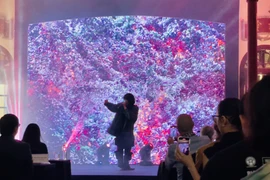 Performance de beatbox par Trung Bao Fustic lors de la cérémonie de clôture. Photo: VNA