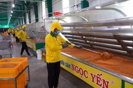 La société Ngoc Yen Agricultural Food Production Company Limited, située dans la province de Dong Thap, applique la science et la technologie à sa production. Photo: VNA