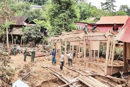 Le Premier ministre a ordonné aux dirigeants locaux de parachever la « Campagne Quang Trung » lancée par lui-même pour accélérer la reconstruction des maisons détruites ou endommagées après les catastrophes naturelles. Photo : https://baochinhphu.vn/