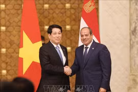 Le président vietnamien Luong Cuong (à gauche) et son homologue égyptien Abdel Fattah El-Sisi. Photo : VNA