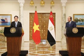 Le président vietnamien Luong Cuong (à gauche) et son homologue égyptien Abdel Fattah El-Sisi lors d'une conférence de presse après leur entretien. Photo : VNA