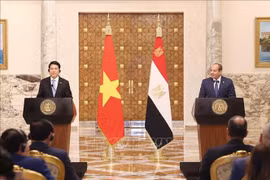Le président vietnamien Luong Cuong (à gauche) et son homologue égyptien Abdel Fattah El-Sisi lors de la conférence de presse tenue après leur entretien. Photo : VNA 