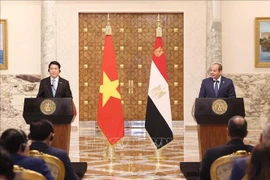 Le président vietnamien Luong Cuong (à gauche) et son homologue égyptien Abdel Fattah El-Sisi lors de la conférence de presse tenue après leur entretien. Photo : VNA 