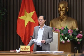 Lz vice-Premier ministre Bui Thanh Son, ministre des Affaires étrangères lors de la réunion. Photo : VNA