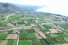 Le projet de centrale nucléaire de Ninh Thuân 2 devrait être construit dans le hameau de Thai An, commune de Vinh Hai, district de Ninh Hai. Photo : VNA