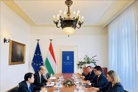 Panorama de la rencontre. Photo: VNA