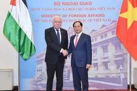 Le vice-Premier ministre Bui Thanh Son (droite) reçoit l'envoyé spécial du président palestinien Riad Malki. Photo: VNA