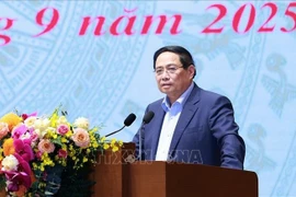 Le Premier ministre Pham Minh Chinh s'exprime lors de la réunion. Photo: VNA