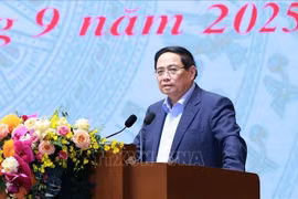 Le Premier ministre Pham Minh Chinh s'exprime lors de la réunion. Photo: VNA