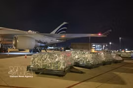 Le déchargement des marchandises a lieu à l'aéroport. Photo: VNA