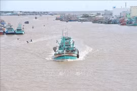 Bateaux de pêche à l'estuaire du fleuve Doc, province de Ca Mau. Photo : VNA 